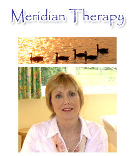 Profile picture for Meridian Therapy