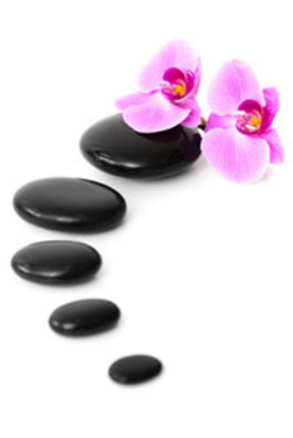 Profile picture for Pure Holistics