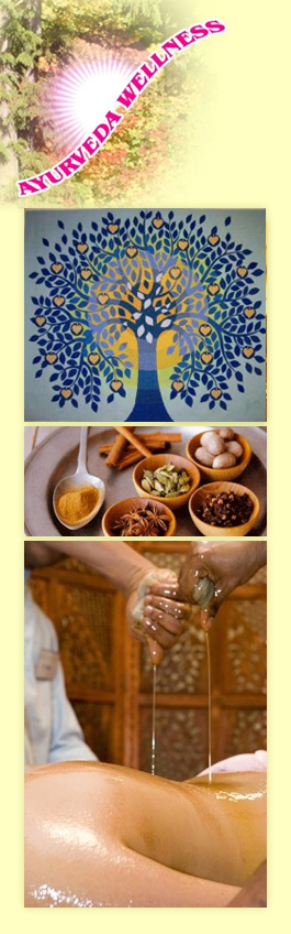 Profile picture for Ayurveda Wellness