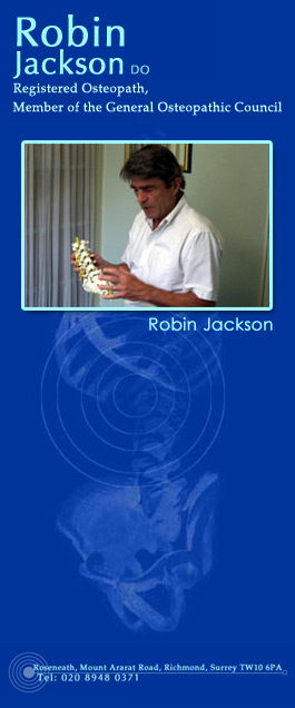 Profile picture for Robin Jackson