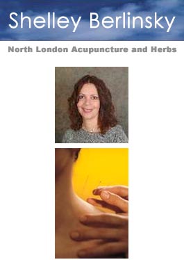 Profile picture for North London Acupuncture and Herbs