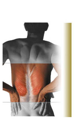 Profile picture for Equilibrium Chiropractic limited
