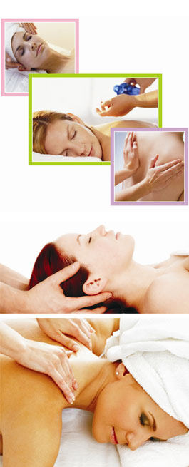 Profile picture for The Mind & Body