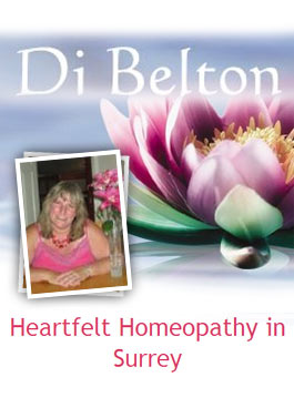 Profile picture for Di Belton