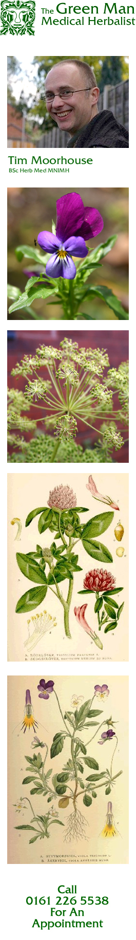 Profile picture for Green Man Medical Herbalist