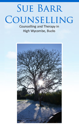 Profile picture for Sue Barr