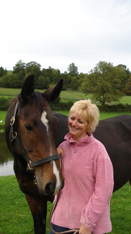 Profile picture for equine assisted healing