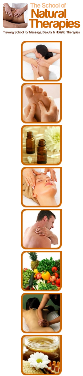 Profile picture for  School of Natural Therapies