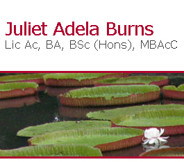 Profile picture for Juliet Adela Burns Acupuncture