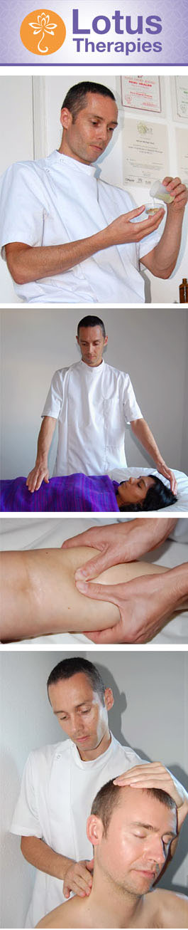 Profile picture for Lotus Therapies