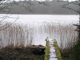 Profile picture for Holistic Counselling and Life Care Therapy