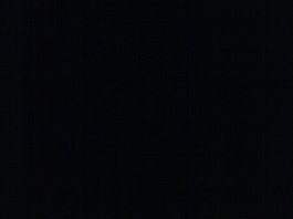Profile picture for Nadia Hussain