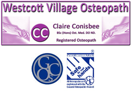 Profile picture for Westcott Mobile Osteopath
