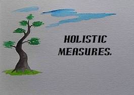 Profile picture for Holistic Measures