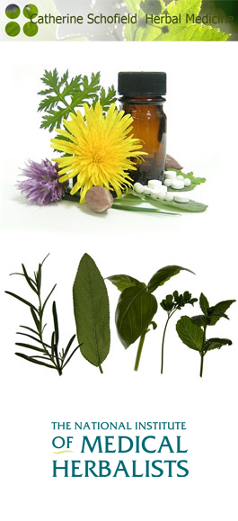 Profile picture for Catherine Schofield (BSc MNIMH) Herbal Medicine