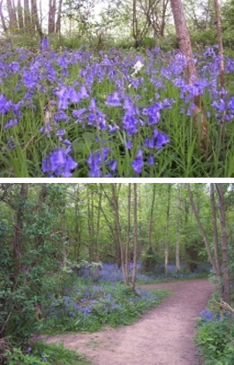 Profile picture for Paul Hide