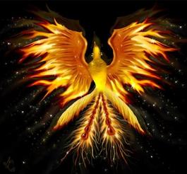 Profile picture for The Phoenix School of Reiki