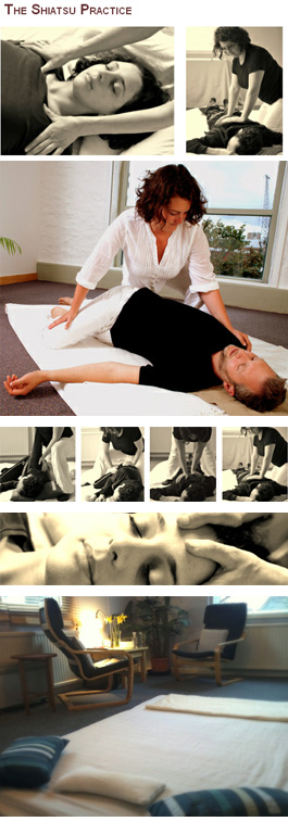 Profile picture for Shiatsu Practice Bristol