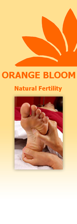 Profile picture for Orange Bloom Natural Fertiliy