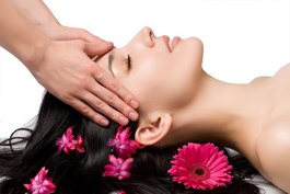 Profile picture for Maria Holistics