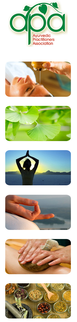 Profile picture for Ayurvedic Practitioners Association
