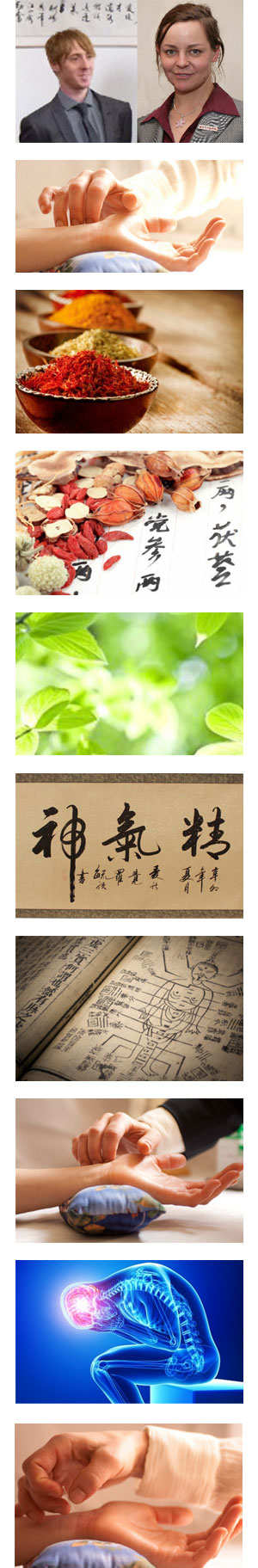 Profile picture for Jingshen TCM and Acupuncture Clinic
