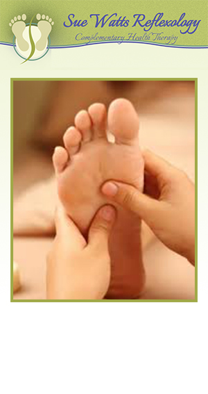Profile picture for Sue Watts Reflexology