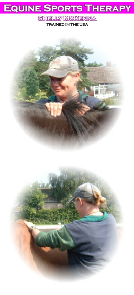 Profile picture for Shelly McKenna Equine Sports Massage