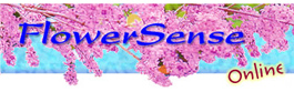 Profile picture for Flower Sense