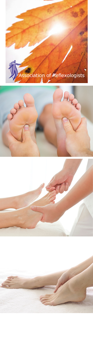 Profile picture for Association of Reflexologists - AOR