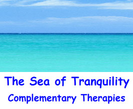 Profile picture for The Sea of Tranquility