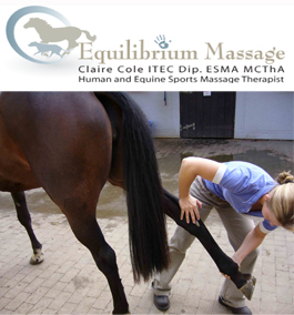 Profile picture for Equilibrium Equine Sports Massage
