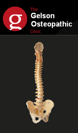 Profile picture for Gelson Osteopath Clinic