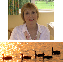 Profile picture for Traditional Acupuncture Clinic