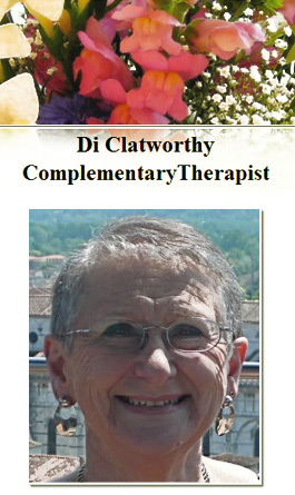 Profile picture for Di Clatworthy