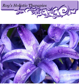 Profile picture for Roy's Holistic Therapies