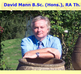 Profile picture for David Mann