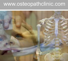 Profile picture for Bourne Osteopath Clinic