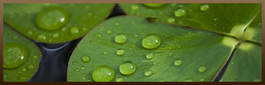 Profile picture for Massage & Beauty Services