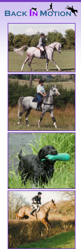 Profile picture for Back In Motion