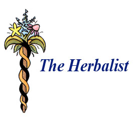 Profile picture for The Herbalist
