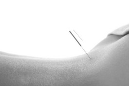 Profile picture for The London Acupuncture Space