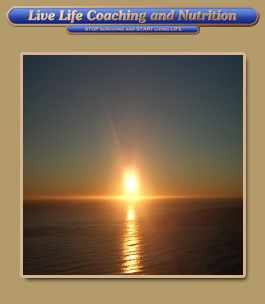 Profile picture for Live Life Coaching