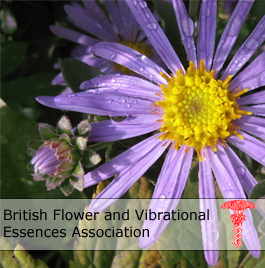 Profile picture for British Flower and Vibrational Essences Association 