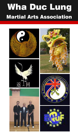 Profile picture for Chinese Boxing Kung Fu Tai Chi