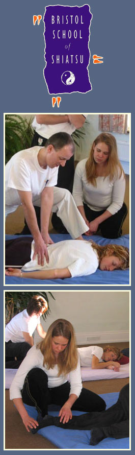 Profile picture for Bristol School of Shiatsu Ltd