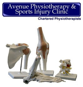 Profile picture for Avenue Physiotherapy Sports Injury Clinic