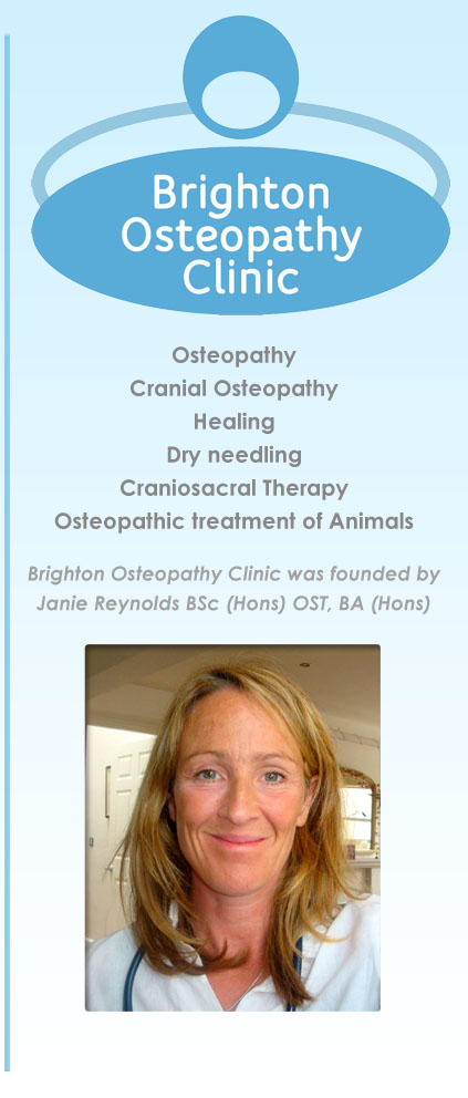 Profile picture for Brighton Osteopathy Clinic