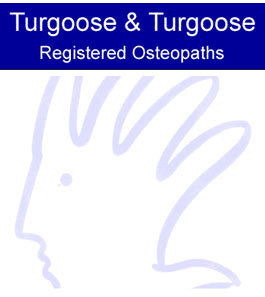 Profile picture for Turgoose & Turgoose Osteopaths