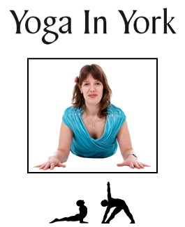 Profile picture for Anna Semlyen Yoga in York